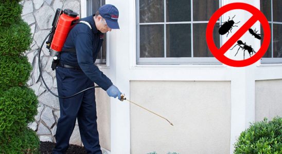 Kızılcahamam Akrep İlaçlama böcek ilaçlama ve haşere kontrolü — ilaclama-tr.com